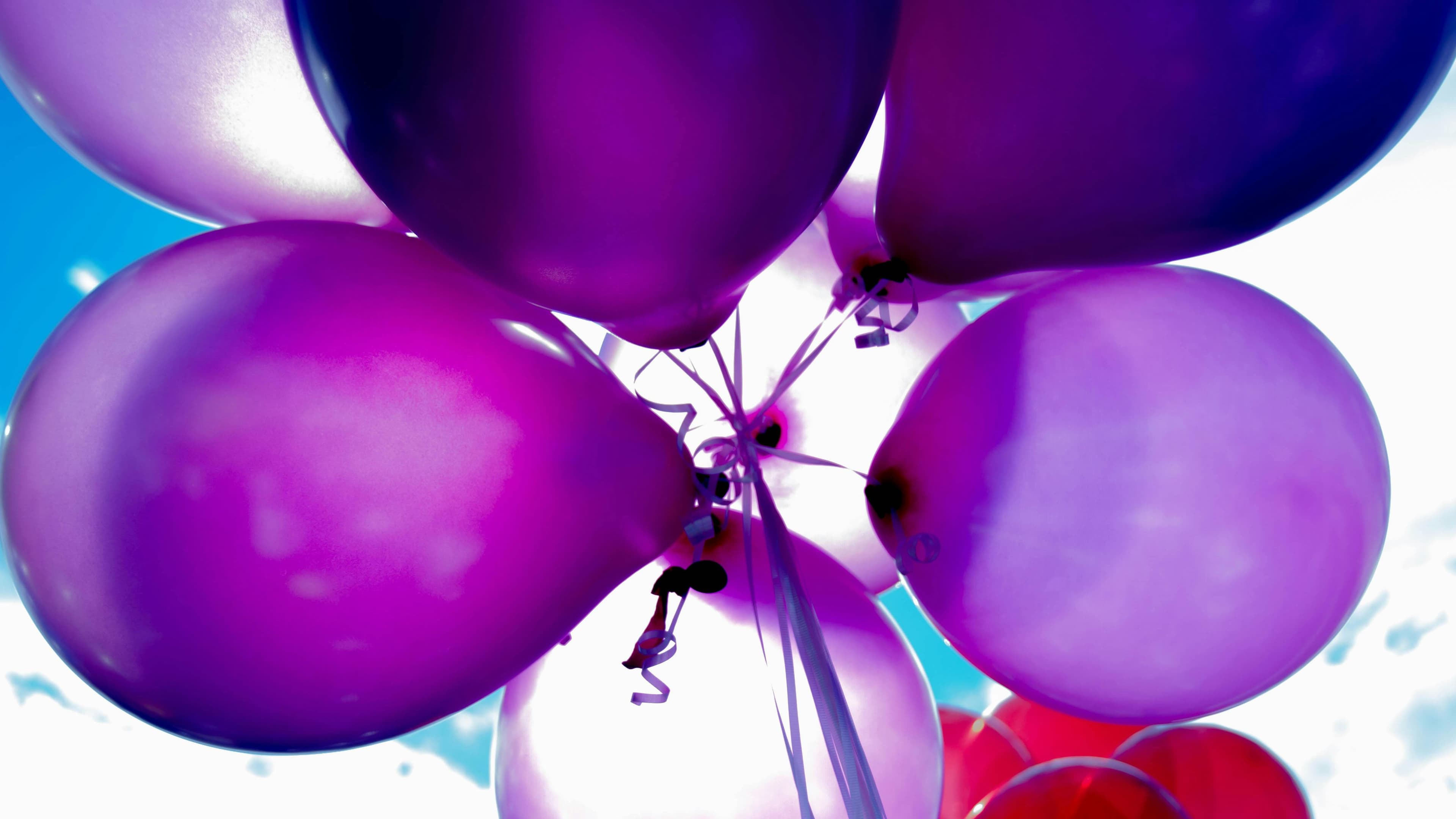 Close-up of glossy purple and blue spheres with soft light reflections, evoking a sea of uniform, generic content