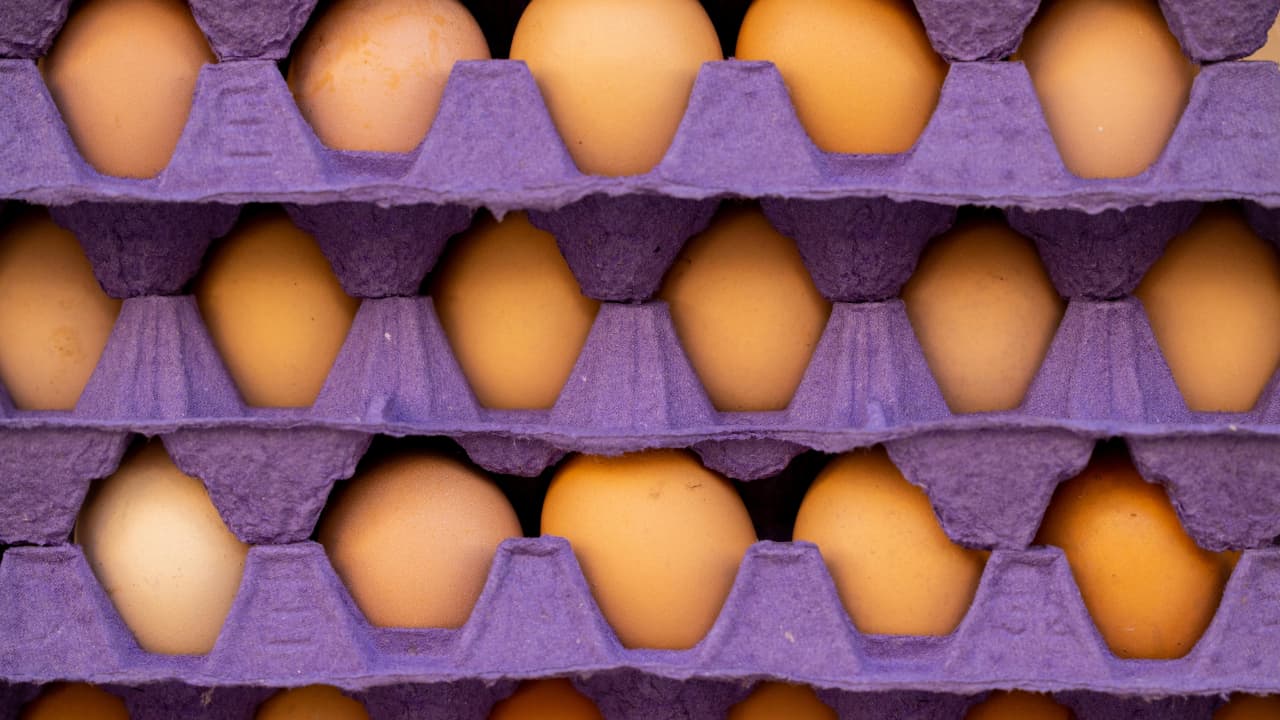 Close-up of brown eggs in a purple carton, symbolising the risk of putting all your AI eggs in one basket