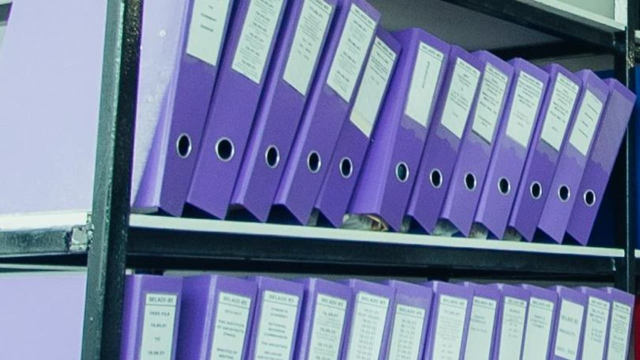 Rows of organised binders and folders on a shelf, symbolising a structured intellectual property system