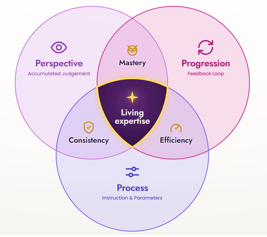 Venn diagram of the Virtually Myself framework: Perspective, Progression and Process overlap to create Consistency, Efficiency and Mastery, meeting at the centre as Living expertise.
